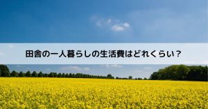 田舎の一人暮らしの生活費